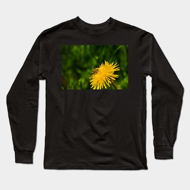 Bee on dandelion Long Sleeve T-Shirt by mbangert